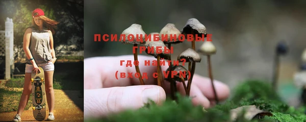 дживик Верея