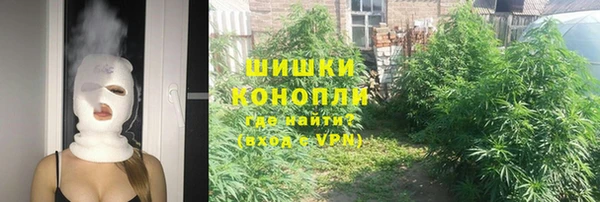дживик Верея