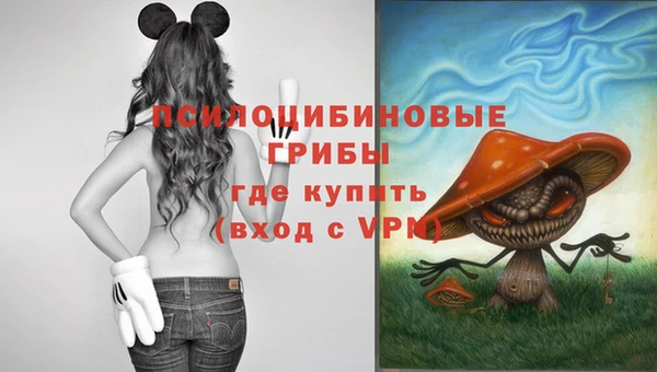 дживик Верея